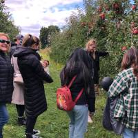Group apple Picking